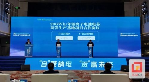 擁抱綠色未來(lái) 2024自貢鈉電產(chǎn)業(yè)創(chuàng)新發(fā)展大會(huì)召開(kāi)